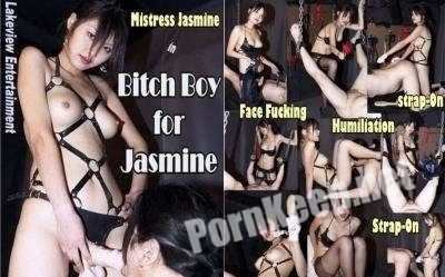 [Clips4sale] Mistress Jasmine: Bitch Boy For Jasmine (SD 480p, 801 MB)