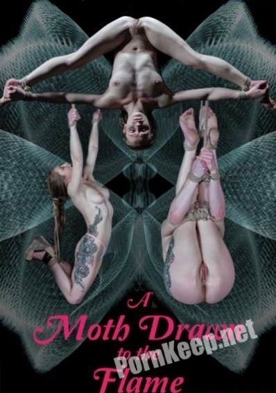 [HardTied] Cora Moth (A Moth Drawn To The Flame / 13.02.2019) (HD 720p, 2.12 GB)