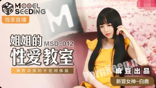 [Madou Media] Bai Lu - Sister's Sex Classroom [MSD012] [uncen] (HD 720p, 680 MB)