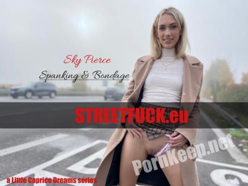 [LittleCaprice-Dreams, StreetFuck.eu] Sky Pierce (STREETFUCK Sky Pierce) (FullHD 1080p, 1.24 GB)