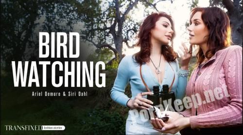 [Transfixed, AdultTime] Siri Dahl, Ariel Demure (Bird Watching) (SD 544p, 641 MB)