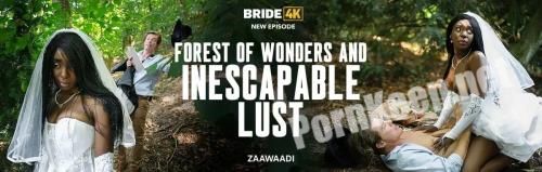 [Bride4k, Vip4K] Zaawaadi (Forest Of Wonders And Inescapable Lust) (FullHD 1080p, 1.90 GB)