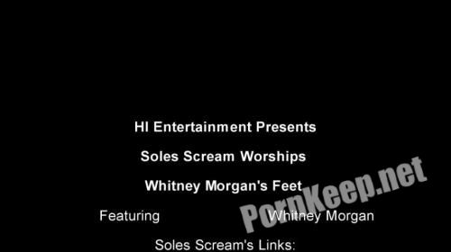 Soles Scream Experience - Whitney Morgans Feet Worshipped (SD 606p, 47.25 MB)